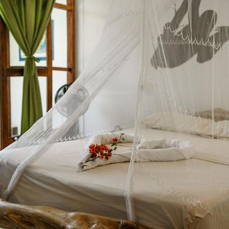Lobo Hostel - Rurrenabaque (Adults Only) Ngoại thất bức ảnh