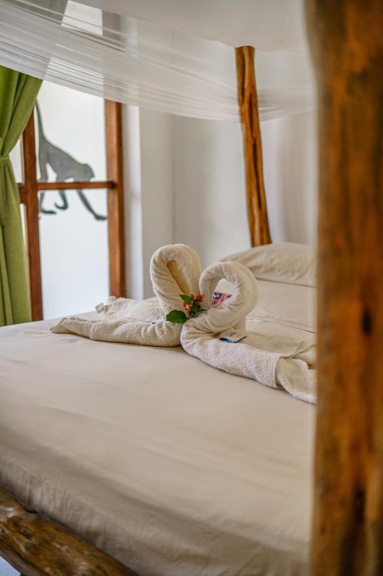 Lobo Hostel - Rurrenabaque (Adults Only) Ngoại thất bức ảnh