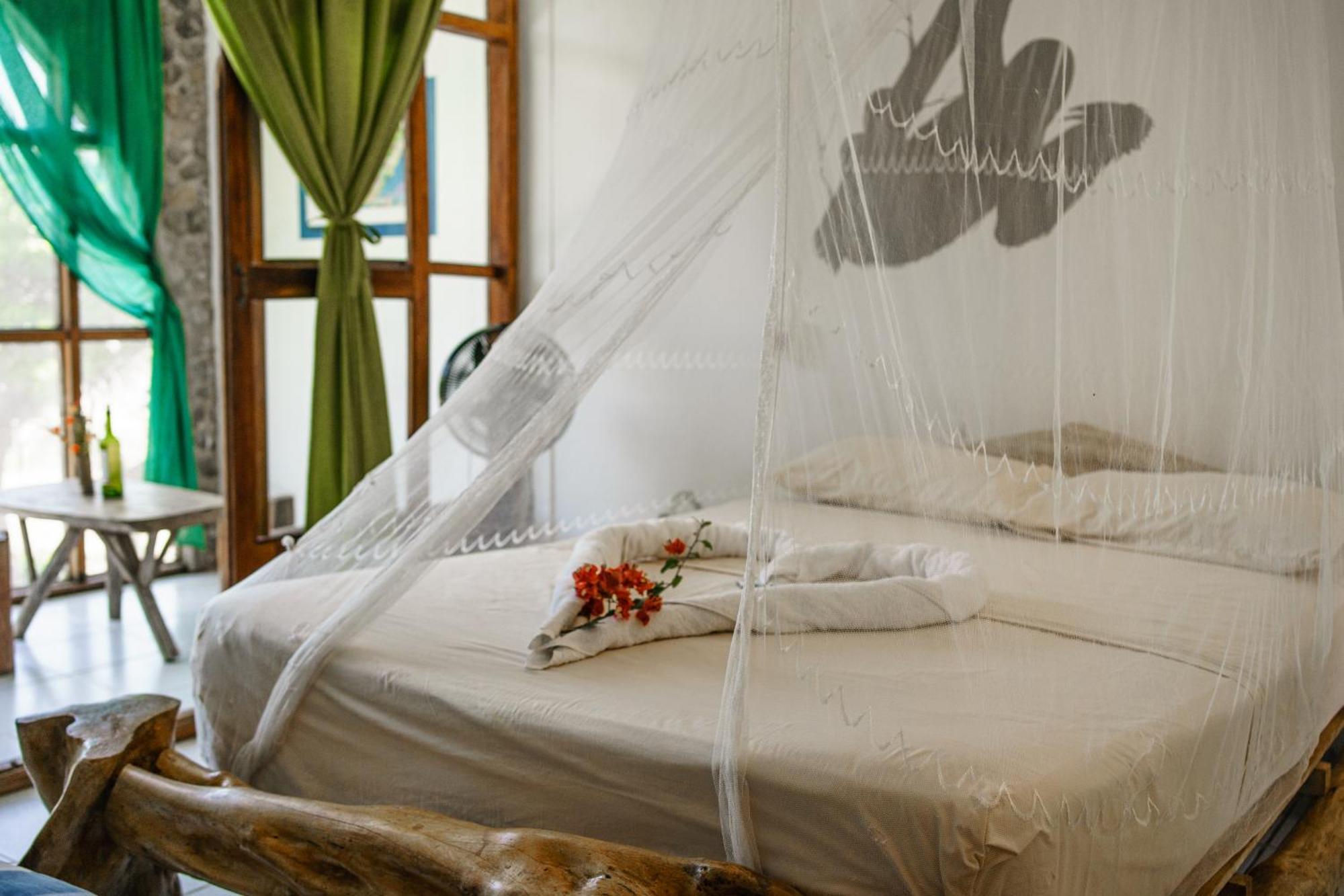 Lobo Hostel - Rurrenabaque (Adults Only) Ngoại thất bức ảnh