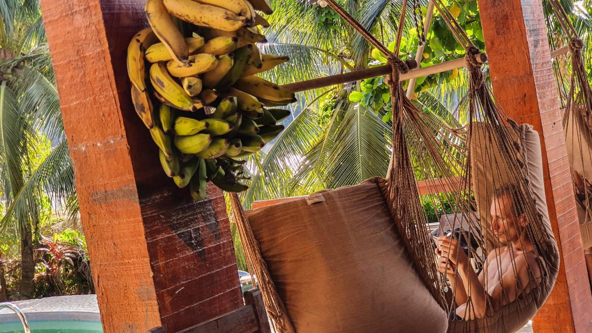 Lobo Hostel - Rurrenabaque (Adults Only) Ngoại thất bức ảnh