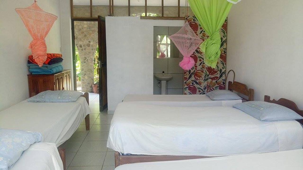 Lobo Hostel - Rurrenabaque (Adults Only) Ngoại thất bức ảnh