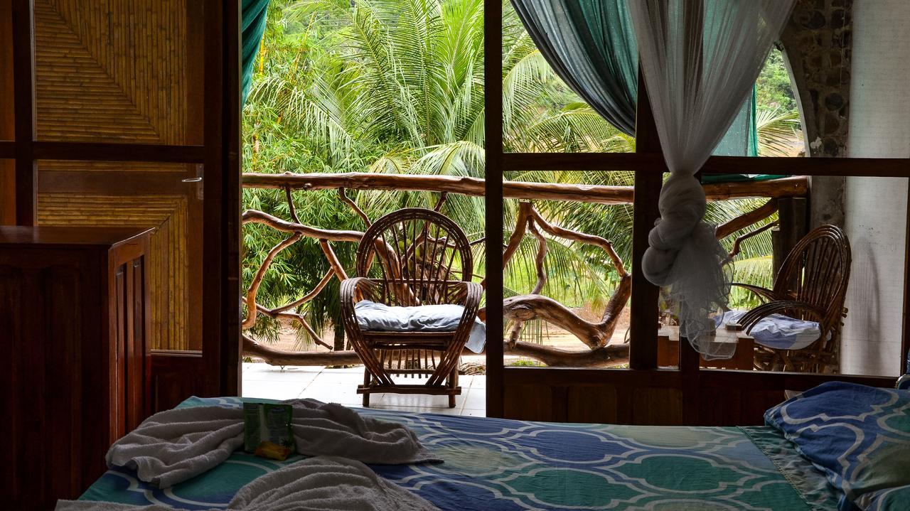 Lobo Hostel - Rurrenabaque (Adults Only) Ngoại thất bức ảnh