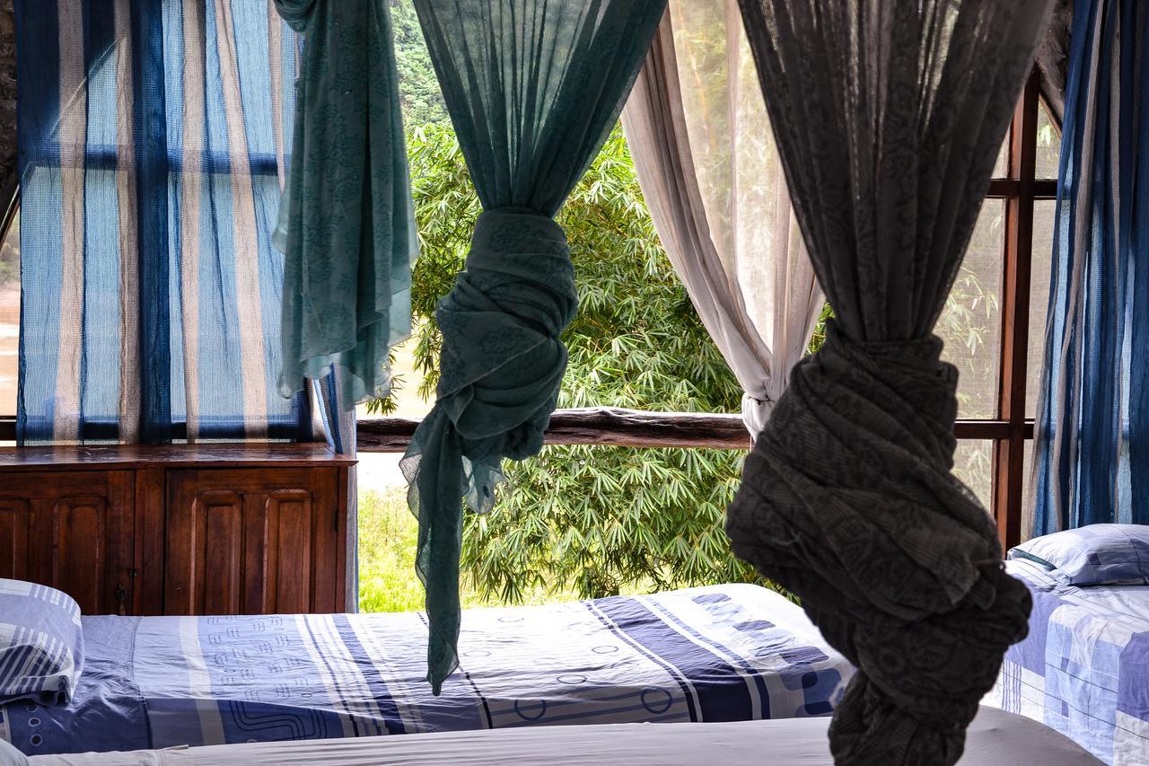 Lobo Hostel - Rurrenabaque (Adults Only) Ngoại thất bức ảnh