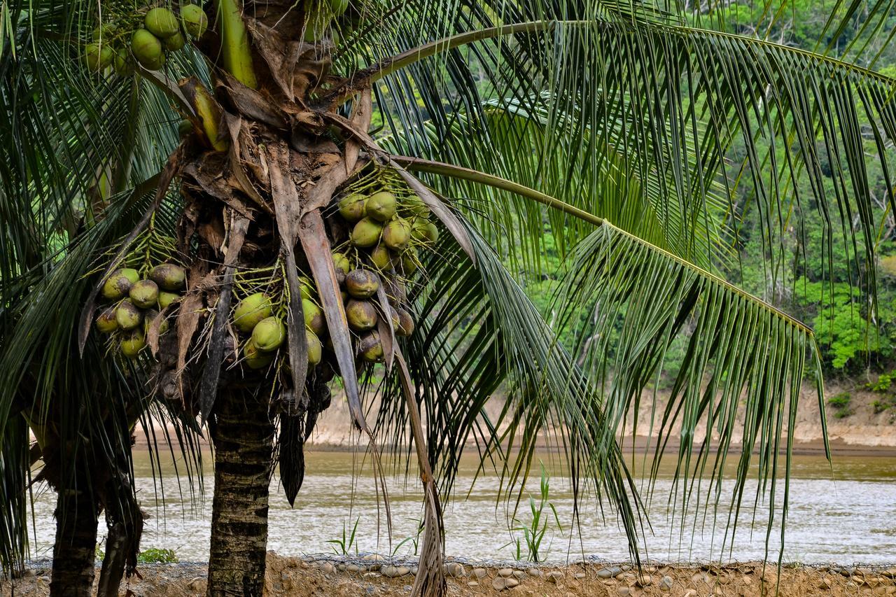Lobo Hostel - Rurrenabaque (Adults Only) Ngoại thất bức ảnh