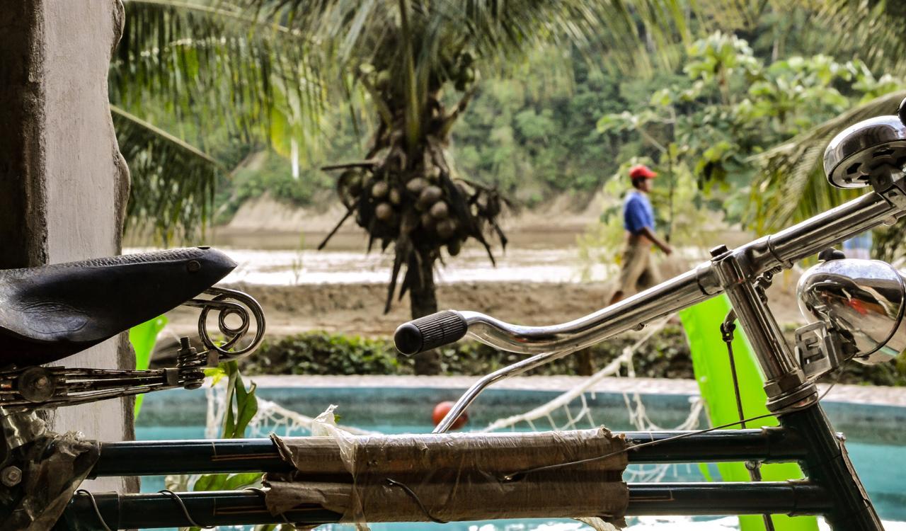 Lobo Hostel - Rurrenabaque (Adults Only) Ngoại thất bức ảnh